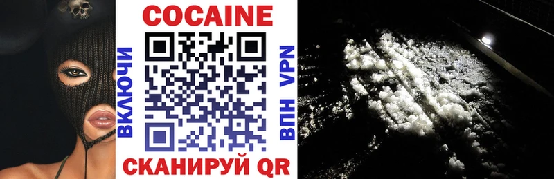 цены наркотик  shop телеграм  Cocaine Fish Scale  Дмитров 