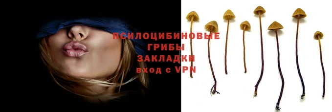 альфа пвп Навашино