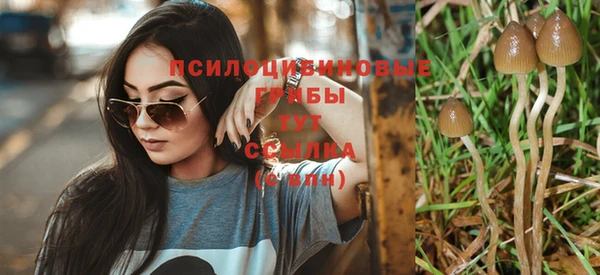 метадон Михайловка