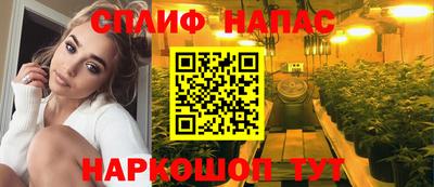 бошки Будённовск