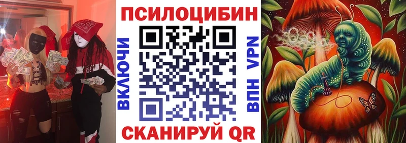Галлюциногенные грибы Cubensis магазин продажи блэк спрут ССЫЛКА Дмитров