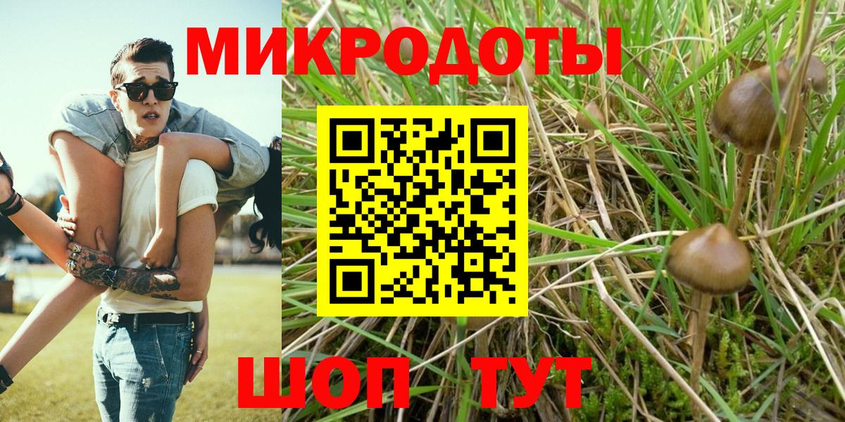 Псилоцибиновые грибы GOLDEN TEACHER Дмитров