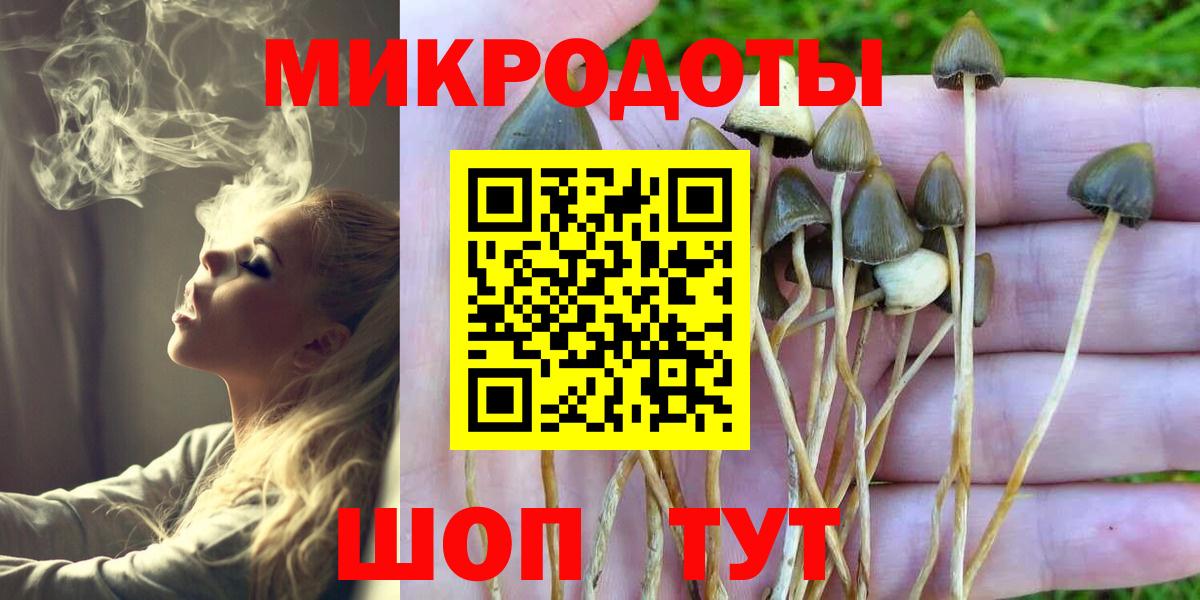 Галлюциногенные грибы Magic Shrooms  Вход с VPN  Дмитров 