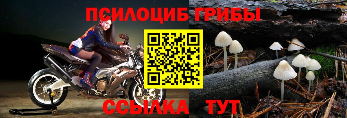 Галлюциногенные грибы Magic Shrooms  Галлюциногенные грибы прущие грибы  Дмитров 