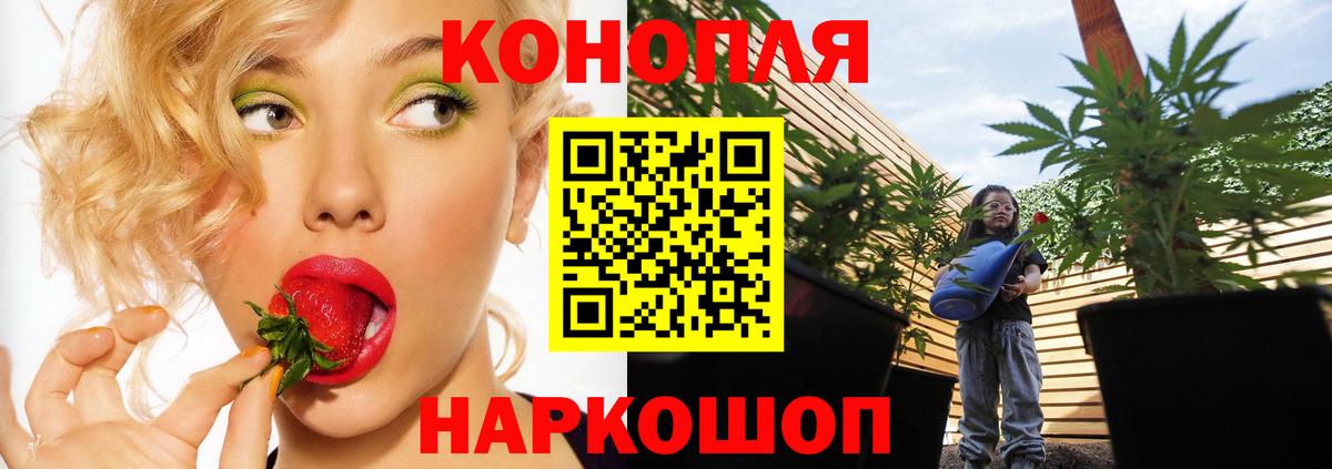 Дмитров  Каннабис Amnesia  Канабис SATIVA & INDICA  Вход с VPN 